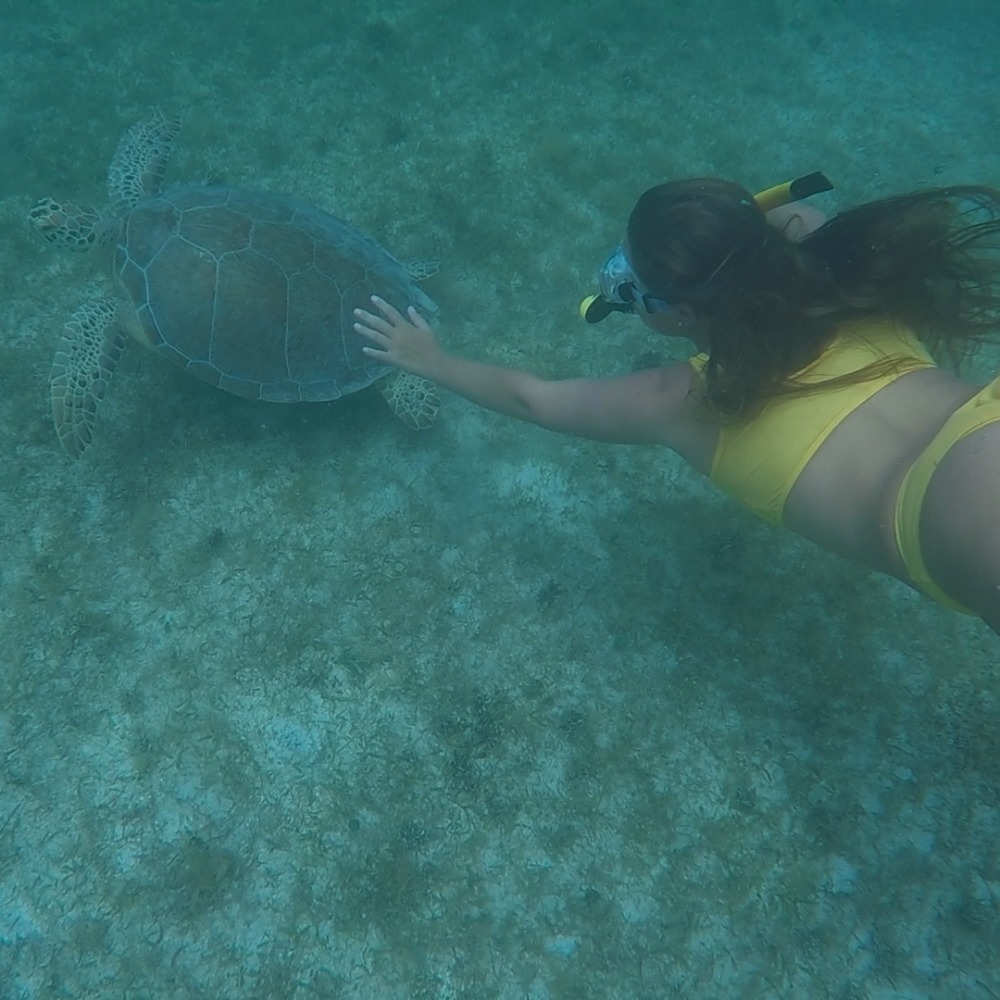 Meet your Posher, Madelynn